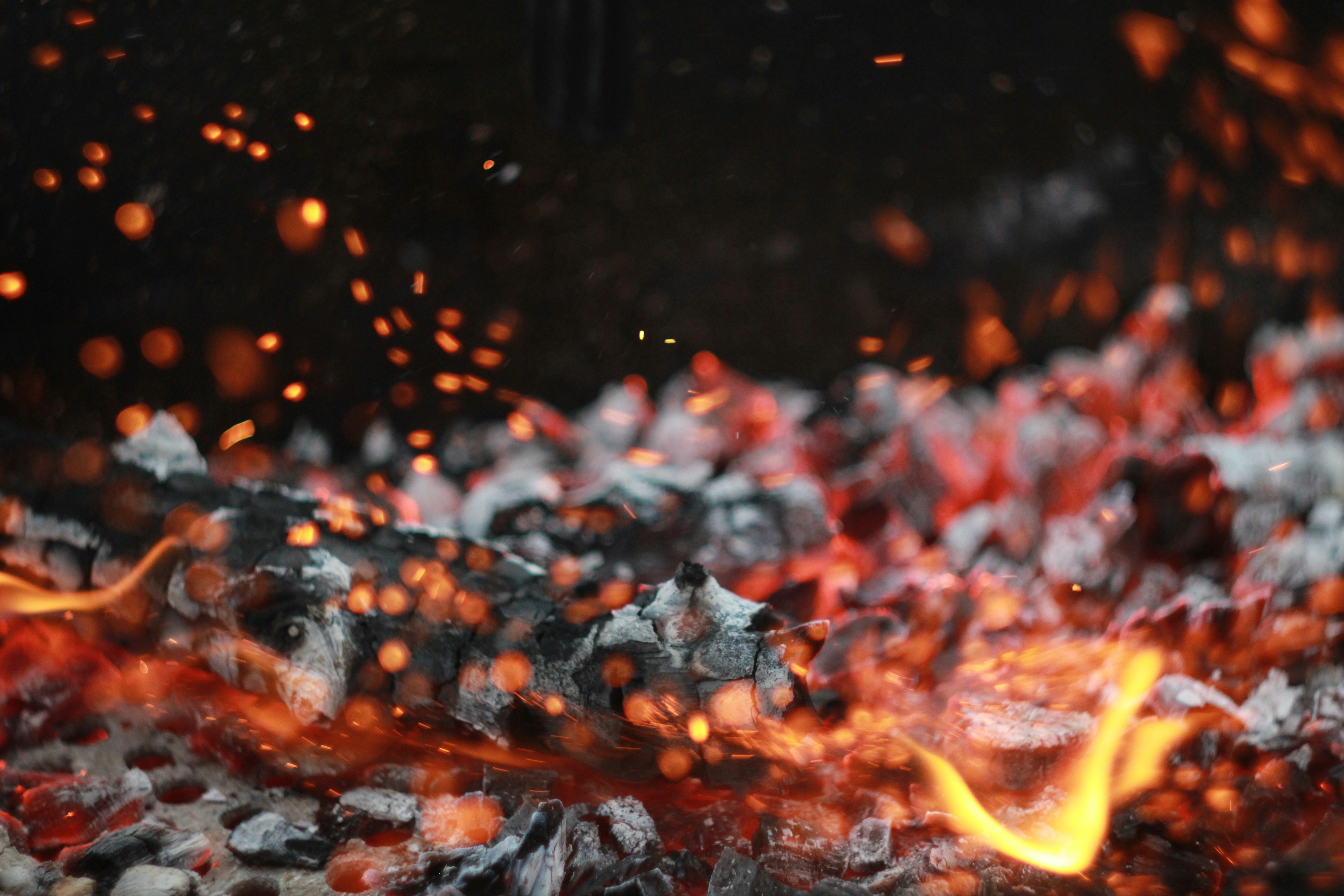 Sawdust BBQ Charcoal